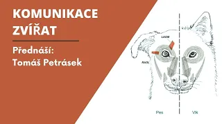 Tomáš Petrásek: Komunikace zvířat