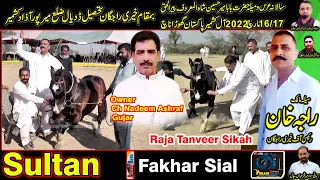 Sultan ll Ch Nadem Ashraf Gujar ll All Kashmir Pakistan Horse Dance ll Khari Rajgan Dadyal ll 2022