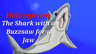 Helicoprion: A Shark with a Buzzsaw for a Jaw