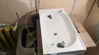 Автоматический кошачий туалет. Ирина Участьева.