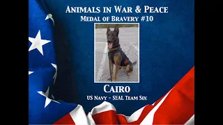 Cairo - Animals in War and Peace Medal of Bravery #10