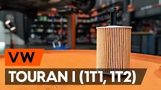 How to change oil filter and engine oil on VW TOURAN 1 (1T1, 1T2) [TUTORIAL AUTODOC]