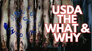 USDA In A Butcher Shop - Explained