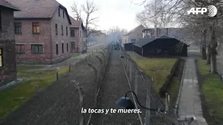 200 sobrevivientes visitan Auschwitz a 75 años de la liberación