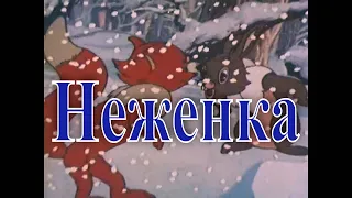 НЕЖЕНКА - грузинский мультфильм 1950 HD