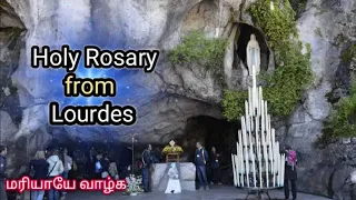Holy Rosary from Lourdes || English Rosary || 25.01.2024