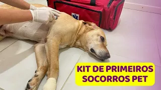 Quais são os ITENS do kit de primeiros socorros para cachorro (pet) - Dica de Saúde Pet