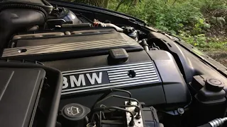 BMW 525i M54 #e39 engine rev sound check