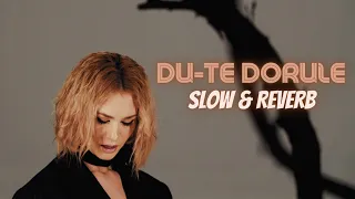 Feli - Du-te Dorule | Slow & Reverb