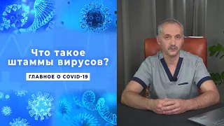 Штамм вируса и как он мутирует / Доктор Виктор