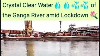 Crystal Clear Water 👌👌 of the Ganga River amid Lockdown at Har ki Paudi, Haridwar