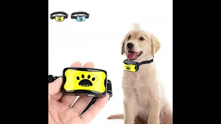 Anti-Bell-Halsband von Petsnackss: So trainieren Sie Ihren Hund, um das Bellen zu reduzieren