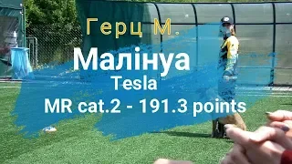 Герц М. MR 2. Збірна України з Mondioring на FMBB 2019