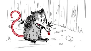 Pissed Off Possum Compilation Episodes 1-10 Humor Comedy Animation  He's mad.  He's angry.