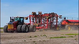 610HP tractor + 80' seedhawk seeding yellow peas 2024