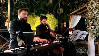 PANTANAL AMOR DE INDIO INSTRUMENTAL NO CASAMENTO - Aleluia Grupo Musical