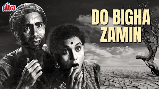 मीणा कुमारी ब्लॉकबस्टर मूवी दो बीघा ज़मीन | Meena Kumari Blockbuster Movie Do Bigha Zamin | Balraj S