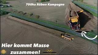 Hier kommt Masse zusammen! 700ha Rübenkampagne in MV mit VREDO Selbstfahrer - Rüben Bunker Aufbau