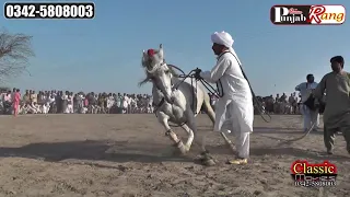 Best Horse Dance Darbar Panjan Noon Pandi Bhattian 2019  Haideri Malang 2-72