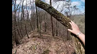 Trail Trekking at Steele Creek Park