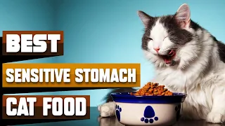 Best Sensitive Stomach Cat Food In 2023 - Top 10 Sensitive Stomach Cat Foods Review