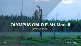 Olympus OM-D E-M1 Mark II | Firmware 3.0 shot on OM-LOG400