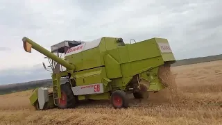 Жнива 2022 CLAAS DOMINATOR 58 ярий ячмінь.