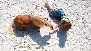 Horse Agility, Liberty Dressage & Circus Tricks // Training with my amazing Shetland pony