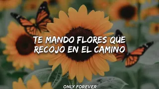 Fonseca - Te mando flores (Letra)