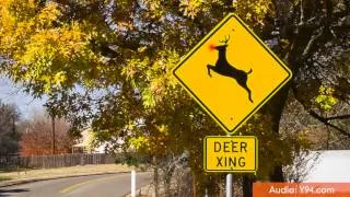 Woman Misunderstands Deer Crossing Sign; Radio Interview Goes Viral