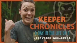 A Day in the Life of a CARNIVORE ZOOLOGIST
