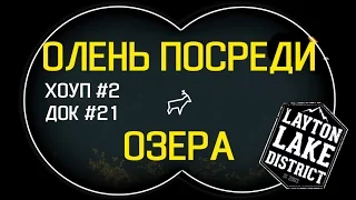 theHunter:COTW | Колумбийский и белохвостый олень ночью | #6 #7