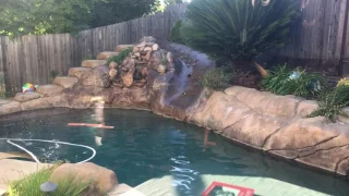 Ducklings going down a slide!