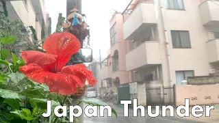 Japan Thunderstorm Walk 2019.8.21 Sound of Rain Tokyo Suburb Meditation Relaxation by tkviper.com