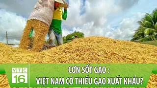 Cơn sốt gạo nông dân hay doanh nghiệp có lãi: Việt Nam có thiếu gạo xuất khẩu? | VTC16