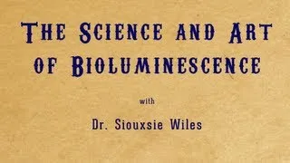 The Science and Art of Bioluminescence, workshop with Dr. Siouxsie Wiles