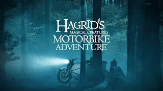 Hagrids Magical Creatures Motorbike Adventure POV planet coaster