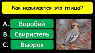 Сможете ли вы ответить хотя бы на 10 вопросов? Тест на эрудицию!  #тестнаэрудицию #викторина #тест