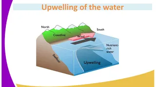FORM 3 GEOGRAPHY LESSON 28 MOVEMENTS OF OCEAN WATER