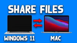 How to Share Files between Windows 11 & MAC