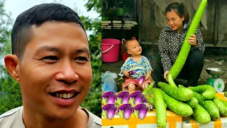 Life has no chapters: Bumper harvest of eggplants and gourds on the farm - buying ducks to raise