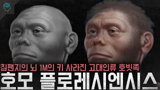 침팬지의 뇌 1M의 키를 가진 사라진 고대인류 '호모 플로레시엔시스'