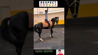 Respect 😲 Horse is talented 👏