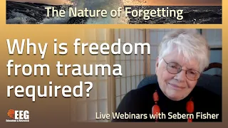 Nature of Forgetting (3) - Recovering from Developmental Trauma Requires Brain Training