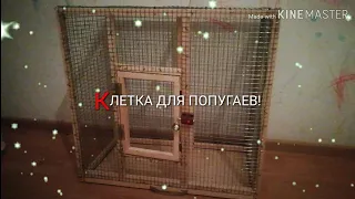 Клетка Для Попугаев 2019 Своими Руками parrot Cage 2019