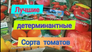 Лучшие низкорослые( детерминантные) сорта томатов для открытого грунта./The most delicious tomatoes