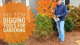 My top digging tools for gardening