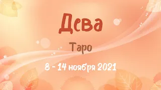 ДЕВА Таро прогноз на 8 – 14 ноября 2021 года