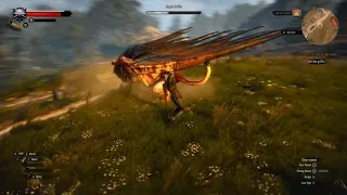 The Witcher 3 Geralt vs Royal Griffin PC Ultra Settings (60FPS)