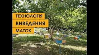 Технологічна карта виведення маток.